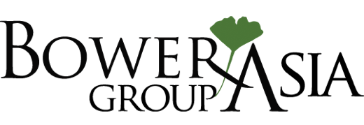 BowerGroupAsia, Inc. logo